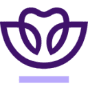 PracticeWorks icon